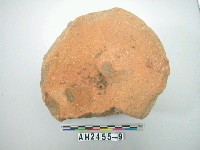 藏品(紅色粗砂陶蓋殘件)的圖片